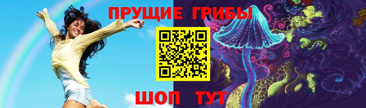 Рассказово  Галлюциногенные грибы мицелий  Вход с VPN 